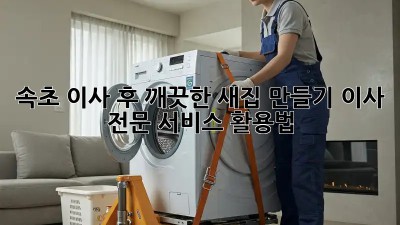 속초 이사 후 깨끗한 새집 만들기: 이사 전문 서비스 활용법