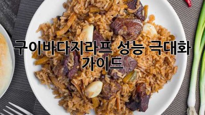 구이바다지라프 성능 극대화 가이드